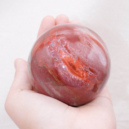Petrified Wood Sphere - AAA Premium Quality