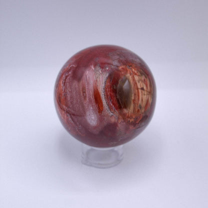 Petrified Wood Sphere - AAA Premium Quality
