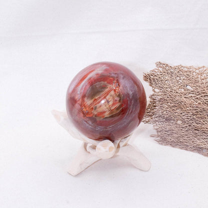 Petrified Wood Sphere - AAA Premium Quality