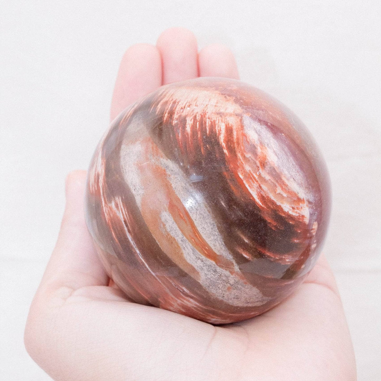 Petrified Wood Sphere - AAA Premium Quality