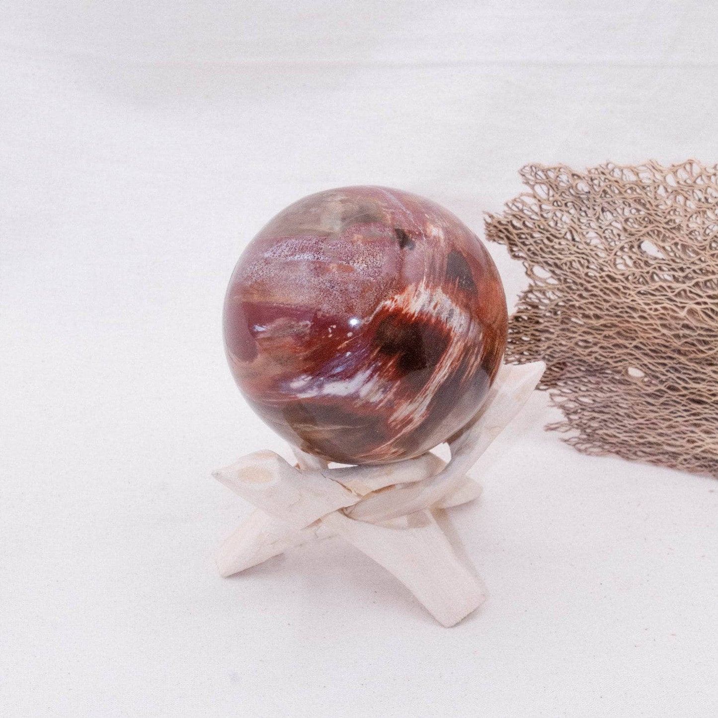 Petrified Wood Sphere - AAA Premium Quality