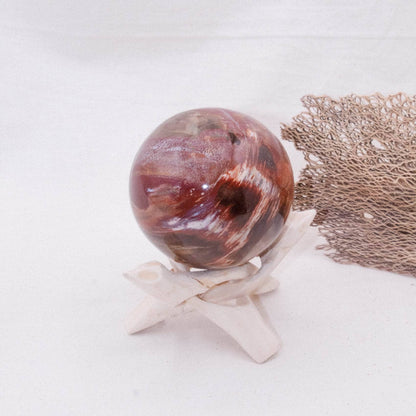 Petrified Wood Sphere - AAA Premium Quality