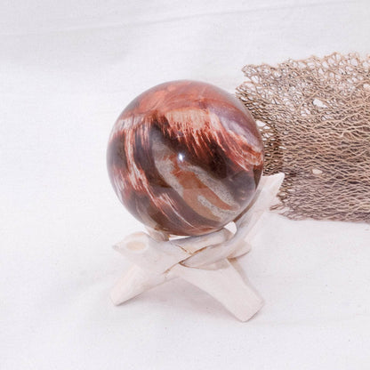 Petrified Wood Sphere - AAA Premium Quality
