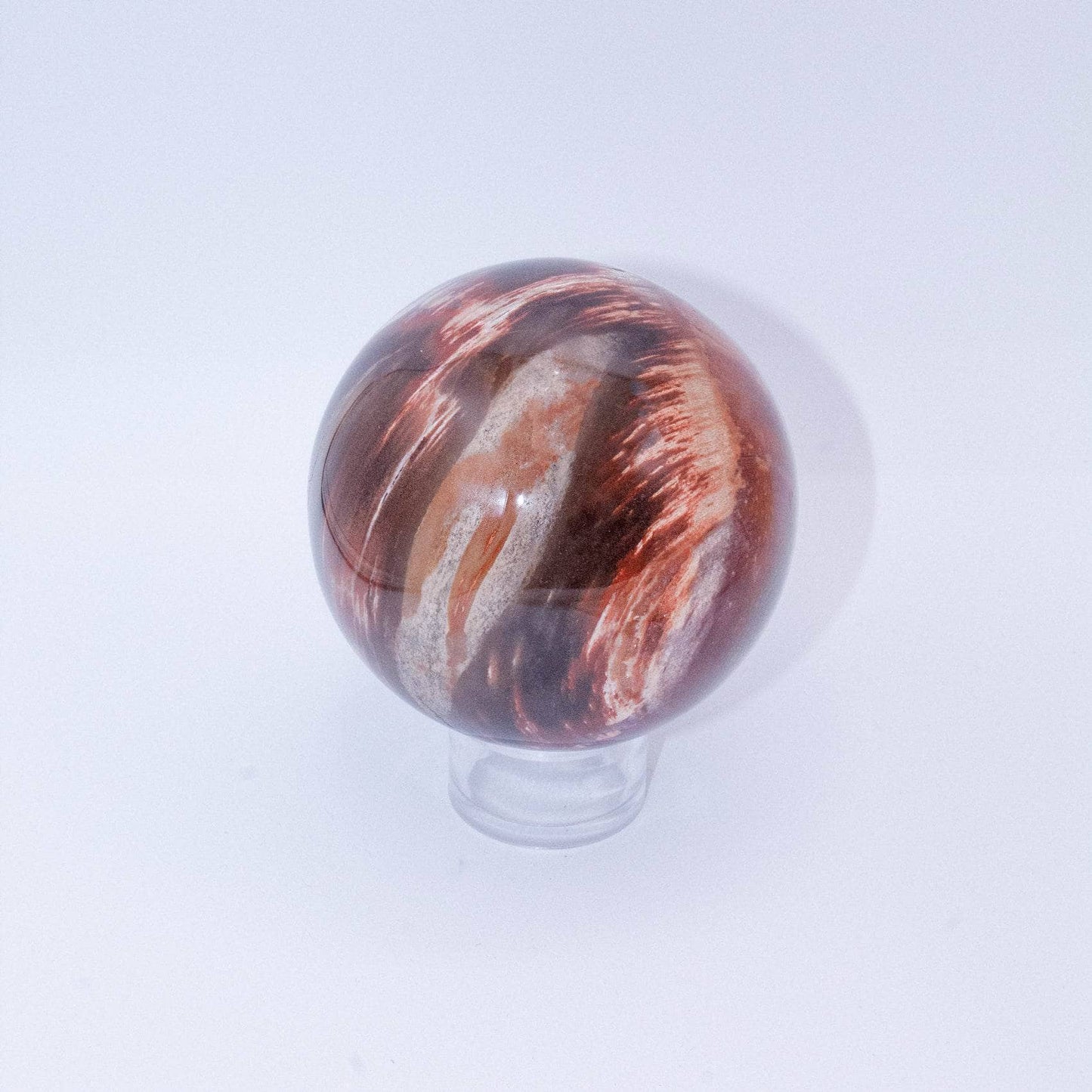Petrified Wood Sphere - AAA Premium Quality