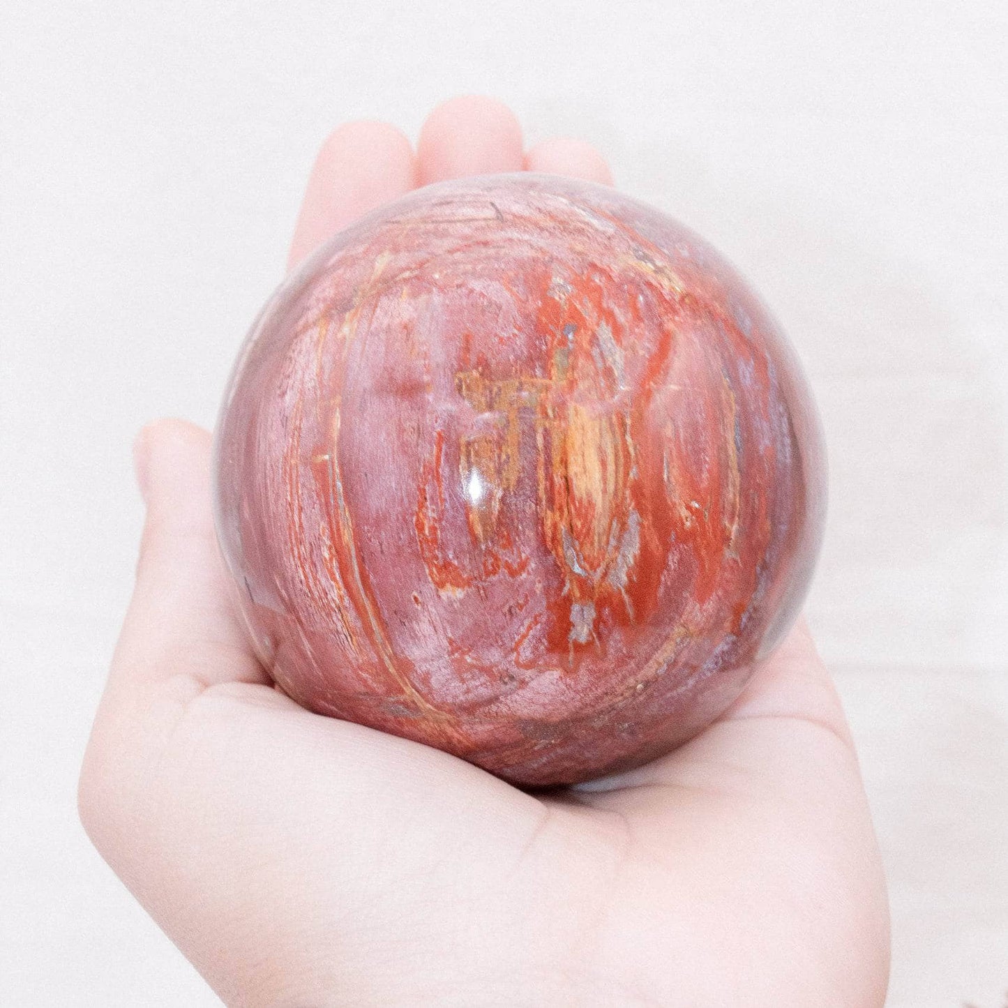 Petrified Wood Sphere - AAA Premium Quality
