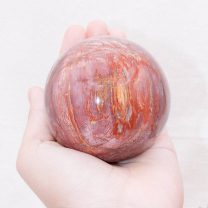 Petrified Wood Sphere - AAA Premium Quality