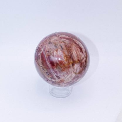 Petrified Wood Sphere - AAA Premium Quality
