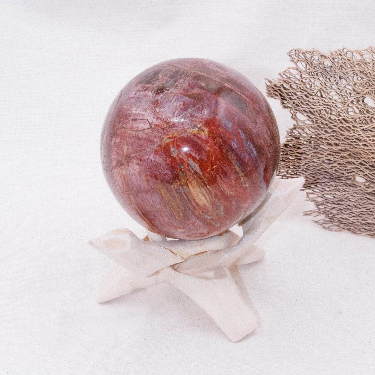 Petrified Wood Sphere - AAA Premium Quality
