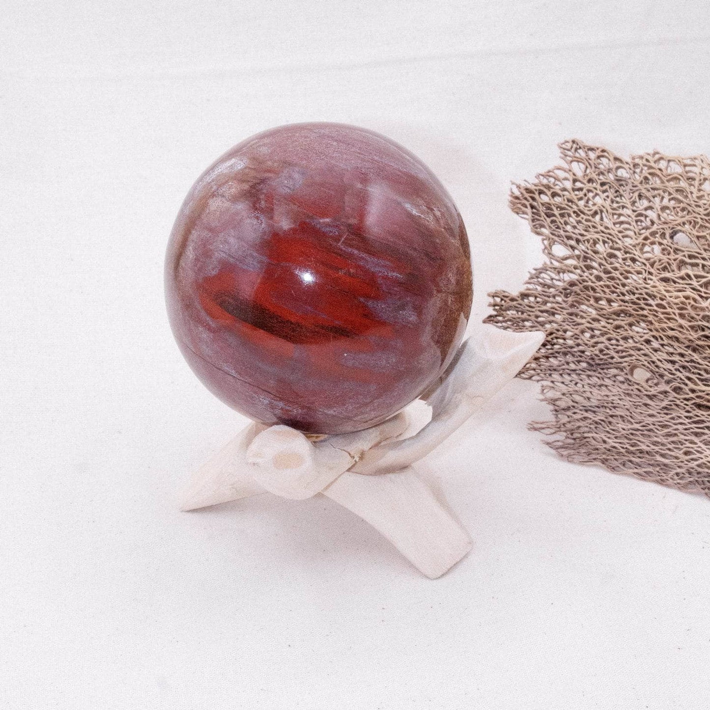 Petrified Wood Sphere - AAA Premium Quality