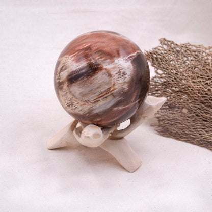 Petrified Wood Sphere - AAA Premium Quality