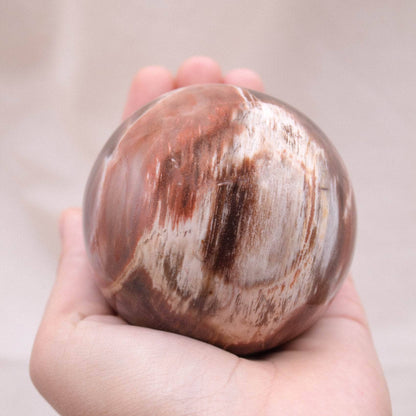 Petrified Wood Sphere - AAA Premium Quality