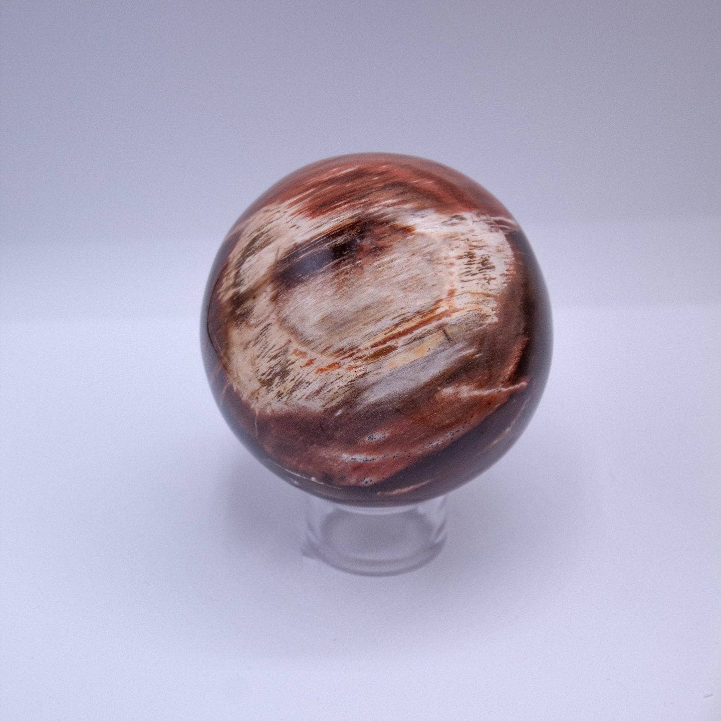 Petrified Wood Sphere - AAA Premium Quality