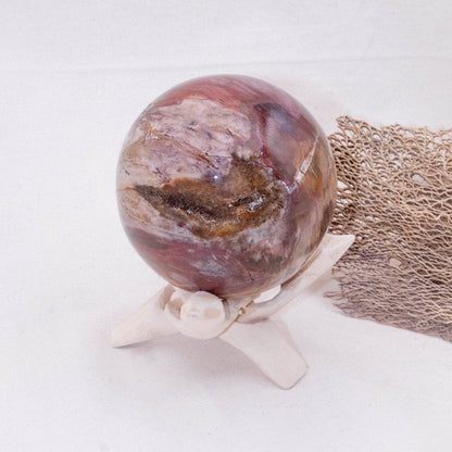 Petrified Wood Sphere - AAA Premium Quality