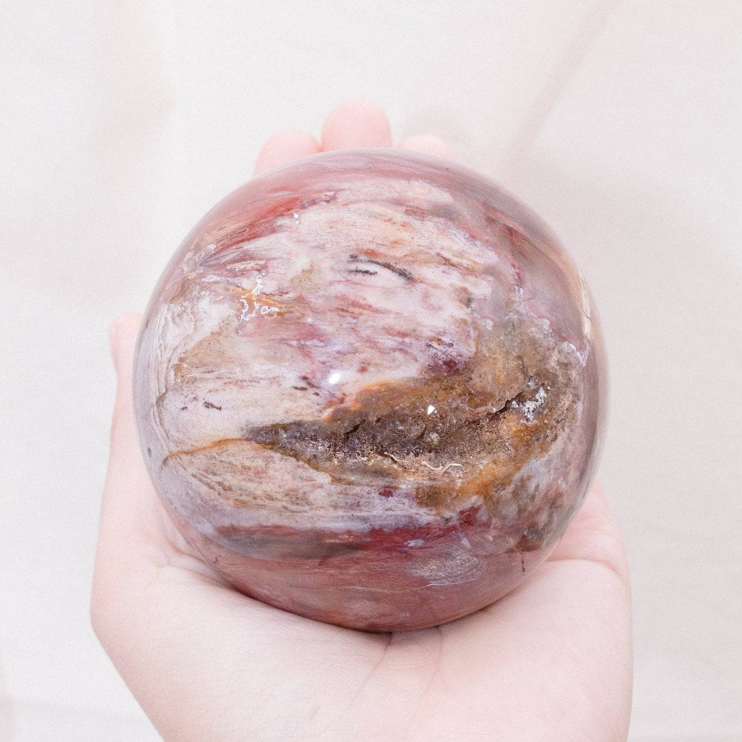 Petrified Wood Sphere - AAA Premium Quality
