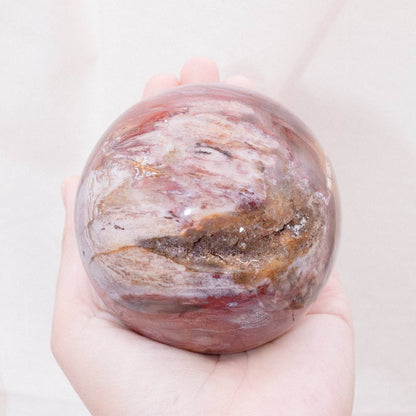 Petrified Wood Sphere - AAA Premium Quality