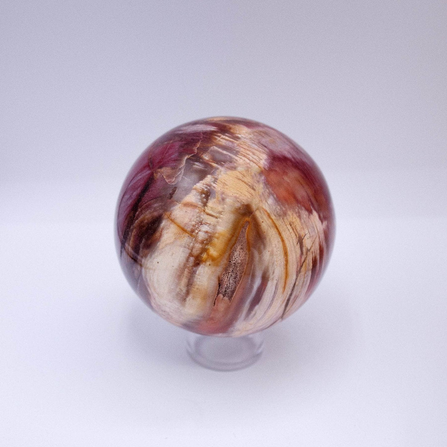 Petrified Wood Sphere - AAA Premium Quality