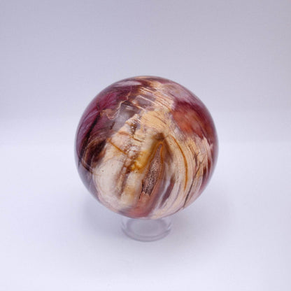 Petrified Wood Sphere - AAA Premium Quality