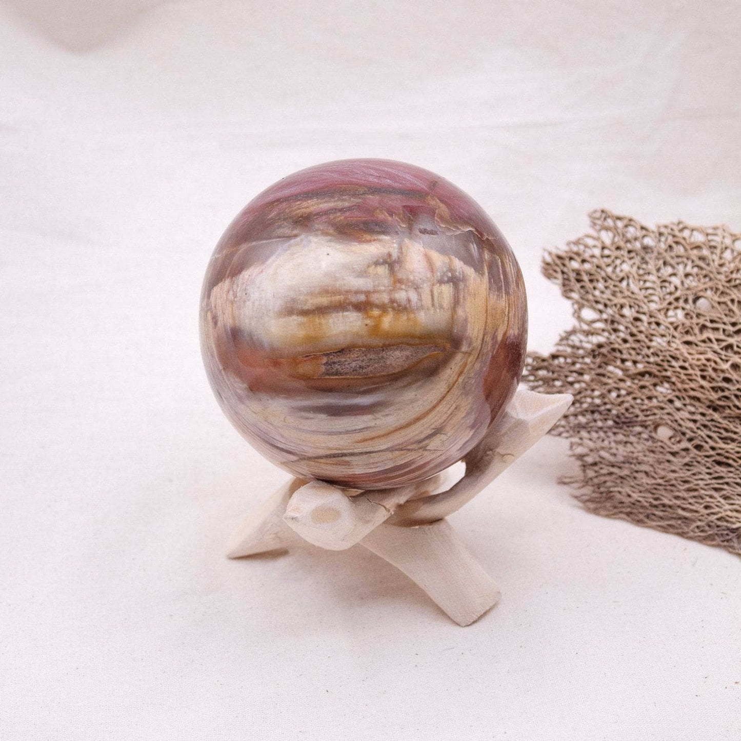 Petrified Wood Sphere - AAA Premium Quality