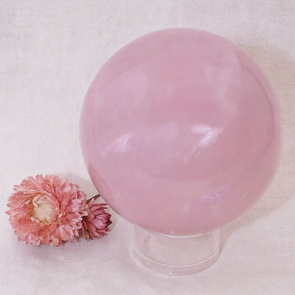 Rose Quartz Sphere - Large - AAA Premium Quality - 1 of a Kind