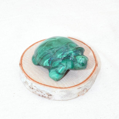 Genuine Malachite Turtles- Hand Carved - 1 of a Kind