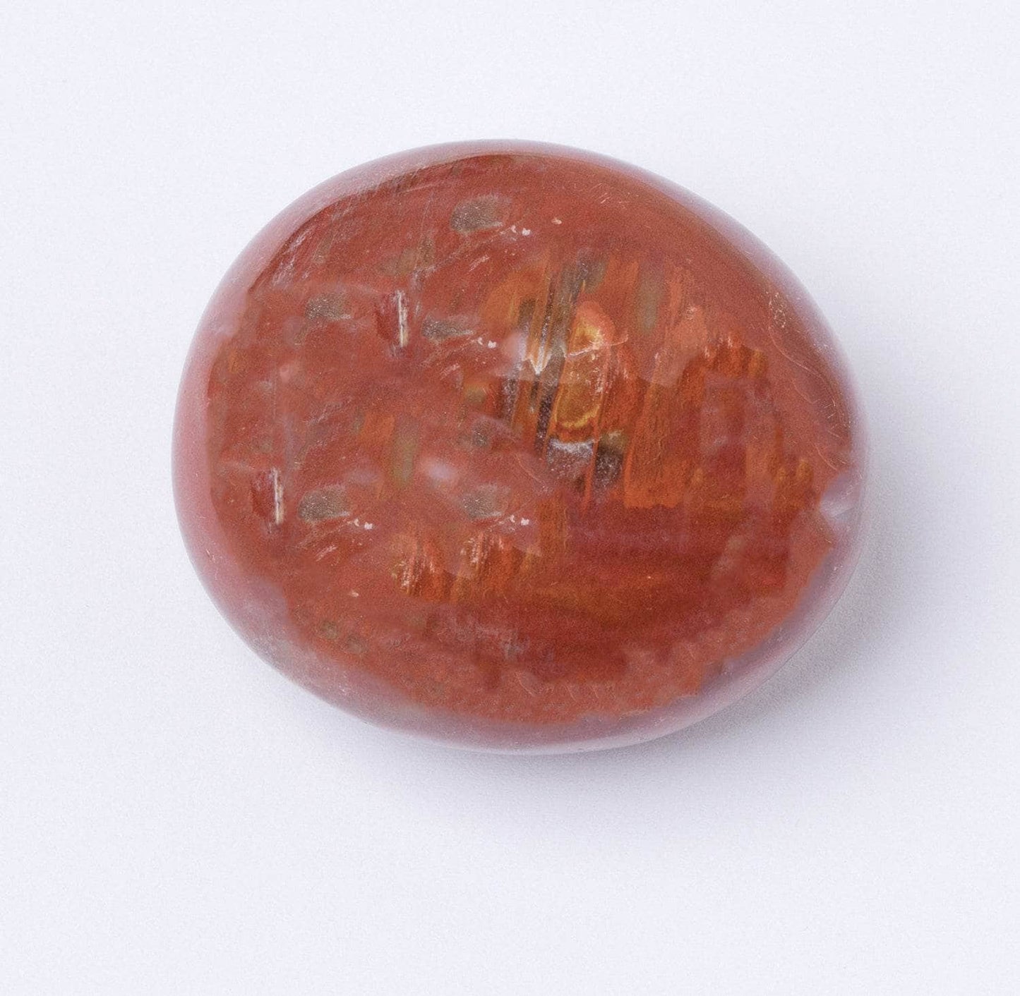 Petrified Wood Palm Stones - AAA Premium Quality