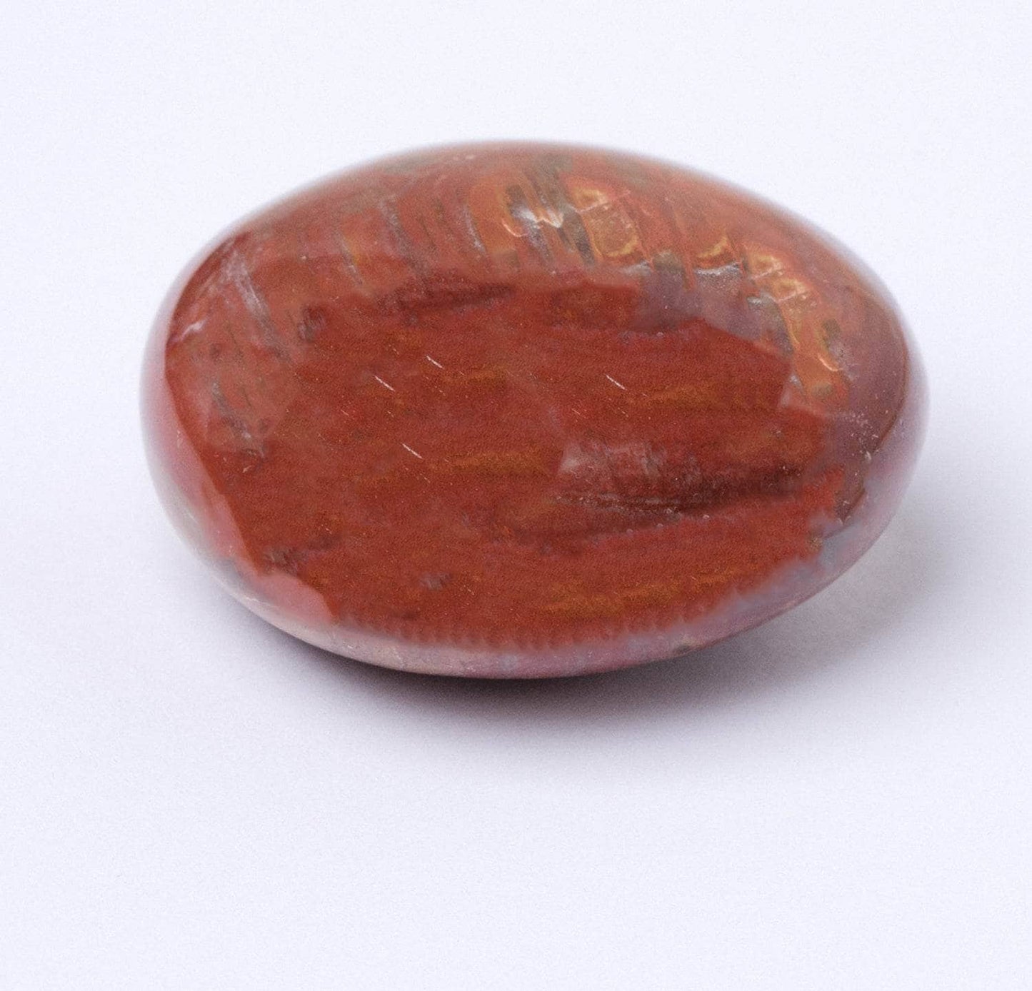 Petrified Wood Palm Stones - AAA Premium Quality