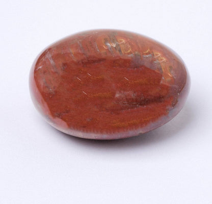 Petrified Wood Palm Stones - AAA Premium Quality