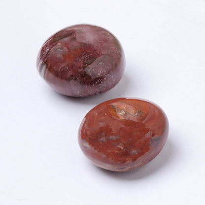 Petrified Wood Palm Stones - AAA Premium Quality