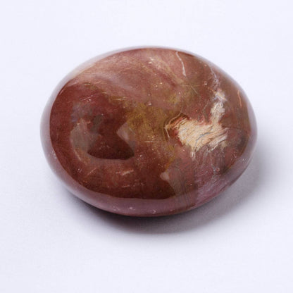Petrified Wood Palm Stones - AAA Premium Quality
