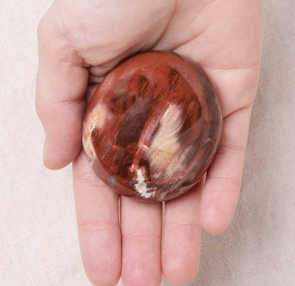 Petrified Wood Palm Stones - AAA Premium Quality
