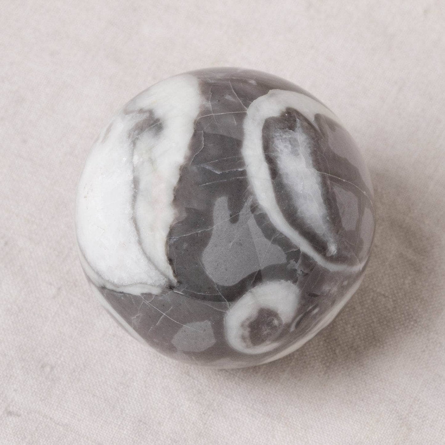 Shell Fossil Sphere with Tripod - AAA Premium Quality